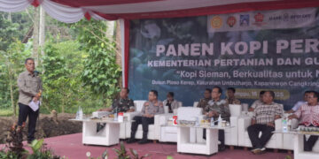 Kopi Sleman Siap Tembus Dunia Lewat Agrowisata dan Industri