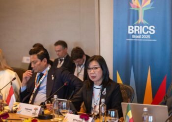 Indonesia Dorong Kerja Sama Global di Forum BRICS