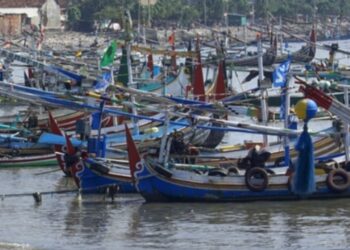 Pemerintah Gelontorkan 72 Triliun Rupiah untuk Perikanan Serap 568 Ribu Tenaga Kerja